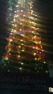 COMMON TIME 元町 / CHARMY 元町 のブログ-20111118213709.jpg