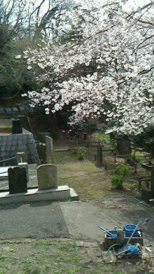 COMMON TIME 元町 / CHARMY 元町 のブログ-2013032012250000.jpg